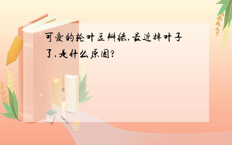 可爱的轮叶豆瓣绿,最近掉叶子了,是什么原因?