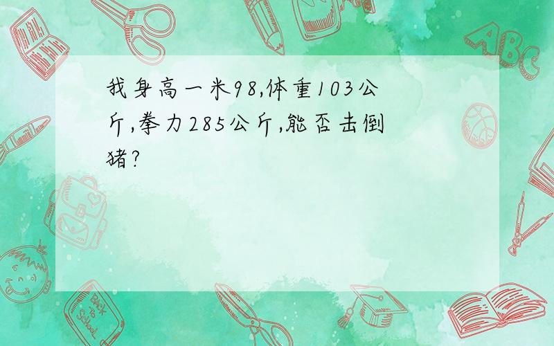 我身高一米98,体重103公斤,拳力285公斤,能否击倒猪?