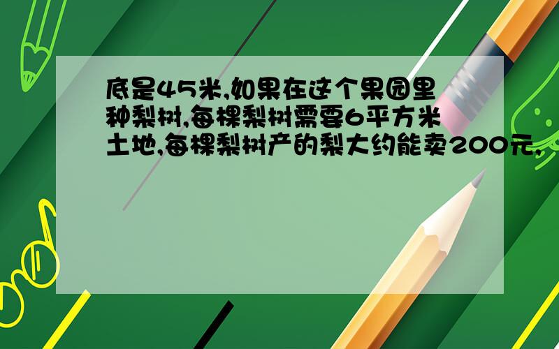 底是45米,如果在这个果园里种梨树,每棵梨树需要6平方米土地,每棵梨树产的梨大约能卖200元,