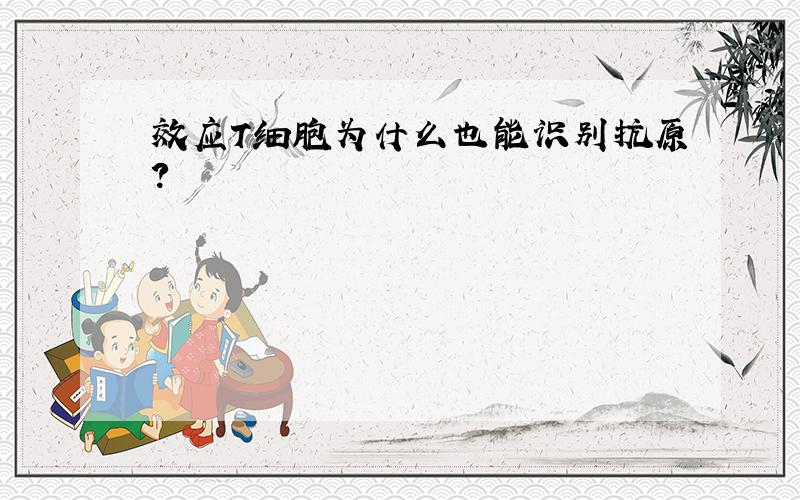 效应T细胞为什么也能识别抗原?