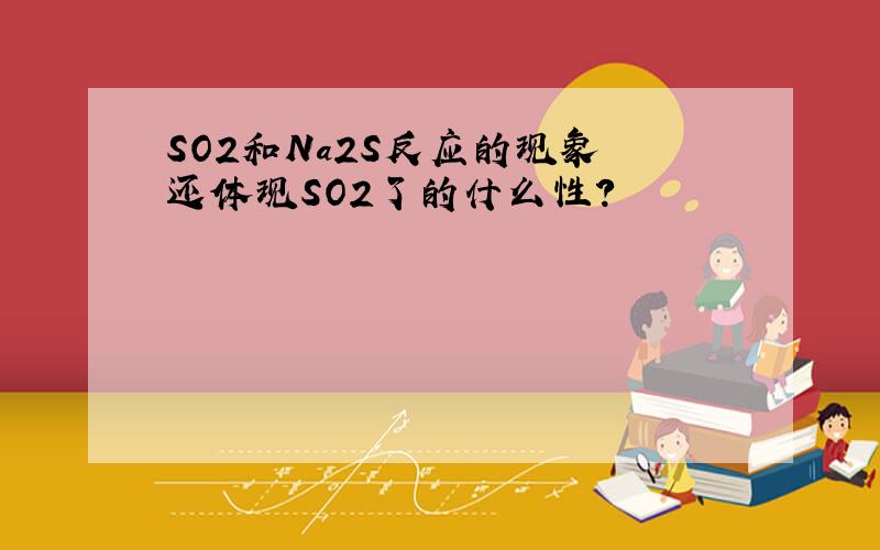 SO2和Na2S反应的现象 还体现SO2了的什么性?