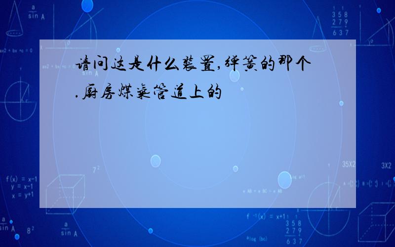 请问这是什么装置,弹簧的那个.厨房煤气管道上的