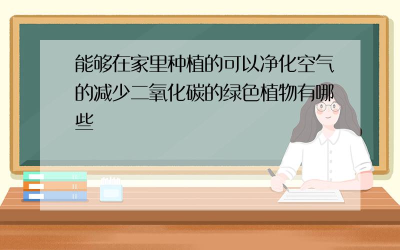 能够在家里种植的可以净化空气的减少二氧化碳的绿色植物有哪些