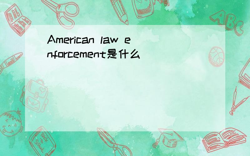 American law enforcement是什么