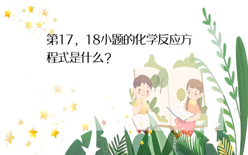 第17，18小题的化学反应方程式是什么？