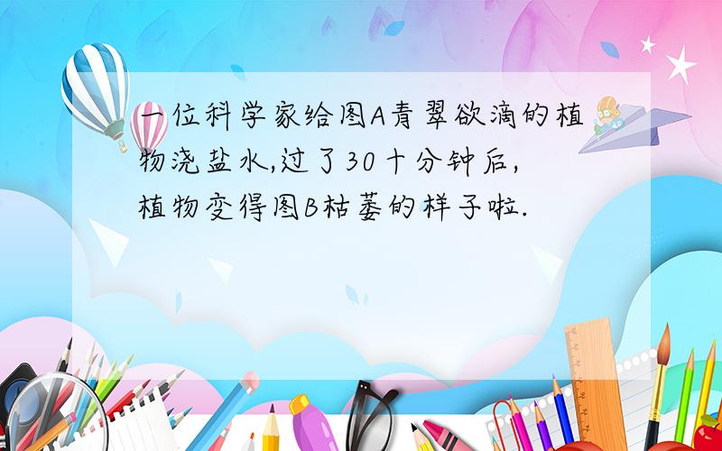 一位科学家给图A青翠欲滴的植物浇盐水,过了30十分钟后,植物变得图B枯萎的样子啦.