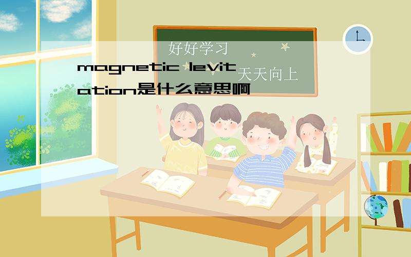 magnetic levitation是什么意思啊