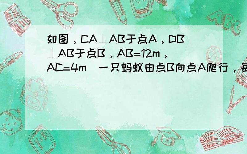 如图，CA⊥AB于点A，DB⊥AB于点B，AB=12m，AC=4m．一只蚂蚁由点B向点A爬行，每分钟爬行1m，另一只蚂蚁