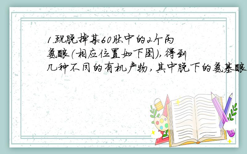 1．现脱掉某60肽中的2个丙氨酸（相应位置如下图）,得到几种不同的有机产物,其中脱下的氨基酸均以游离态存在.下列有关该过