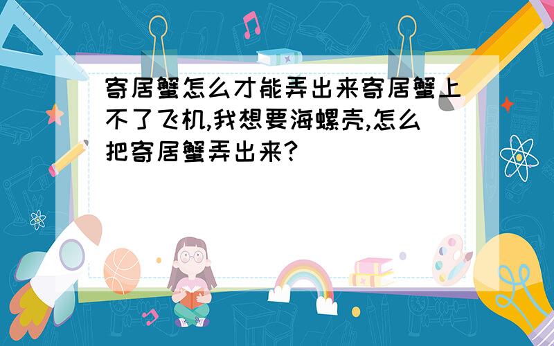 寄居蟹怎么才能弄出来寄居蟹上不了飞机,我想要海螺壳,怎么把寄居蟹弄出来?