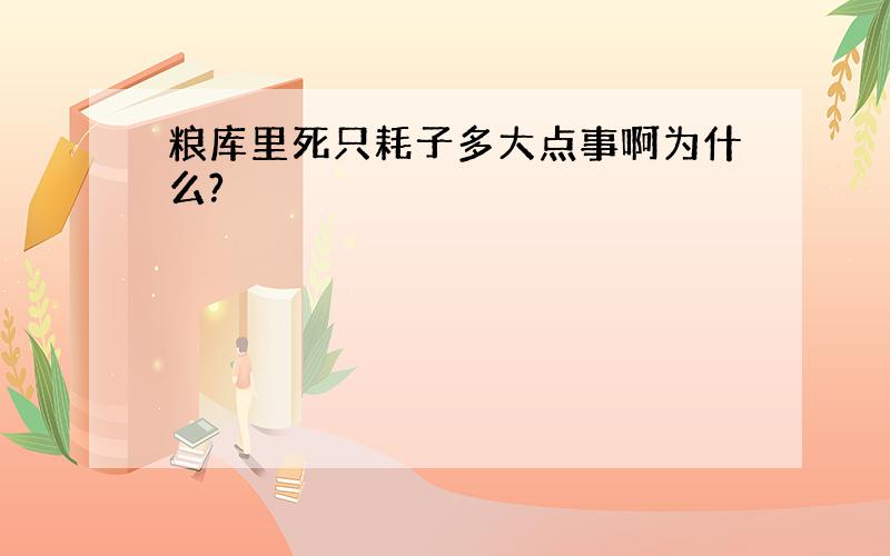 粮库里死只耗子多大点事啊为什么?