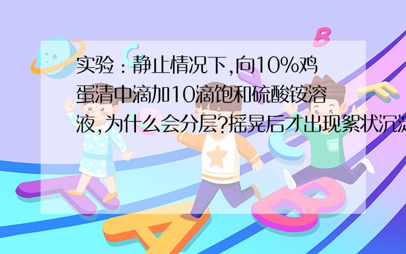 实验：静止情况下,向10%鸡蛋清中滴加10滴饱和硫酸铵溶液,为什么会分层?摇晃后才出现絮状沉淀发生盐析