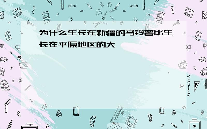 为什么生长在新疆的马铃薯比生长在平原地区的大