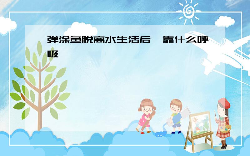 弹涂鱼脱离水生活后,靠什么呼吸