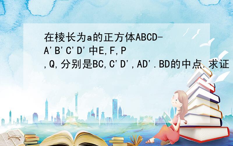 在棱长为a的正方体ABCD-A'B'C'D'中E,F,P,Q,分别是BC,C'D',AD'.BD的中点.求证（1）PQ/