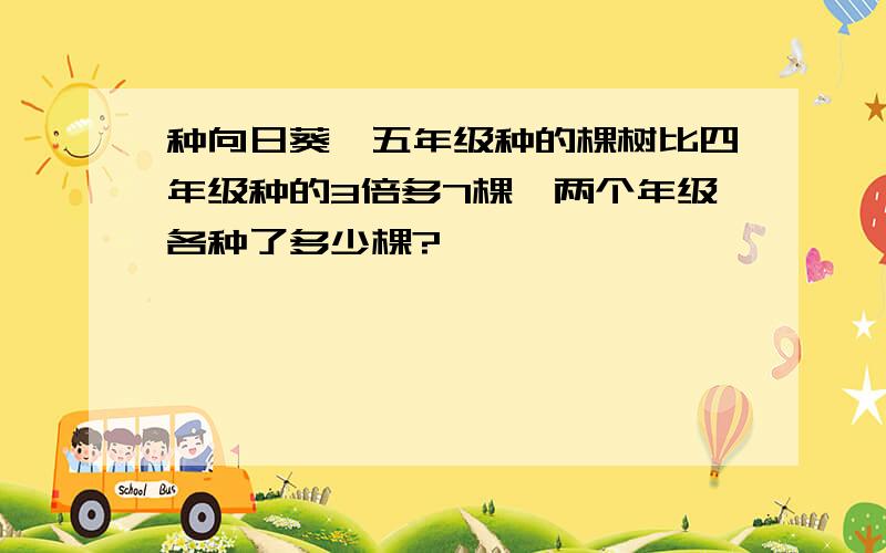 种向日葵,五年级种的棵树比四年级种的3倍多7棵,两个年级各种了多少棵?