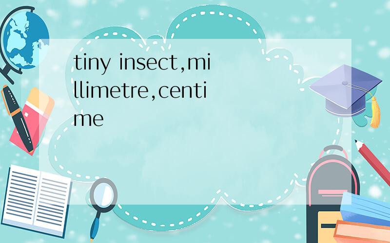 tiny insect,millimetre,centime