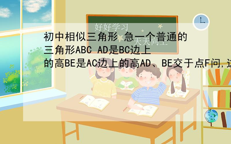 初中相似三角形 急一个普通的三角形ABC AD是BC边上的高BE是AC边上的高AD、BE交于点F问,这里面共有多少对相似