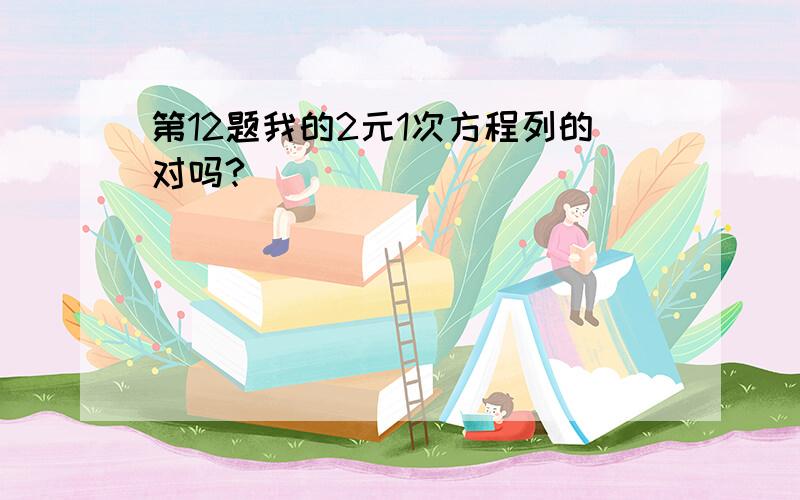 第12题我的2元1次方程列的对吗?