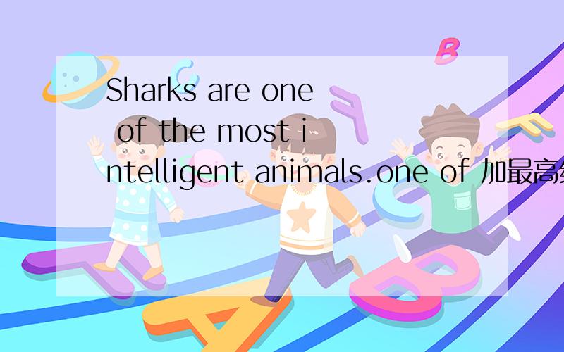 Sharks are one of the most intelligent animals.one of 加最高级加名