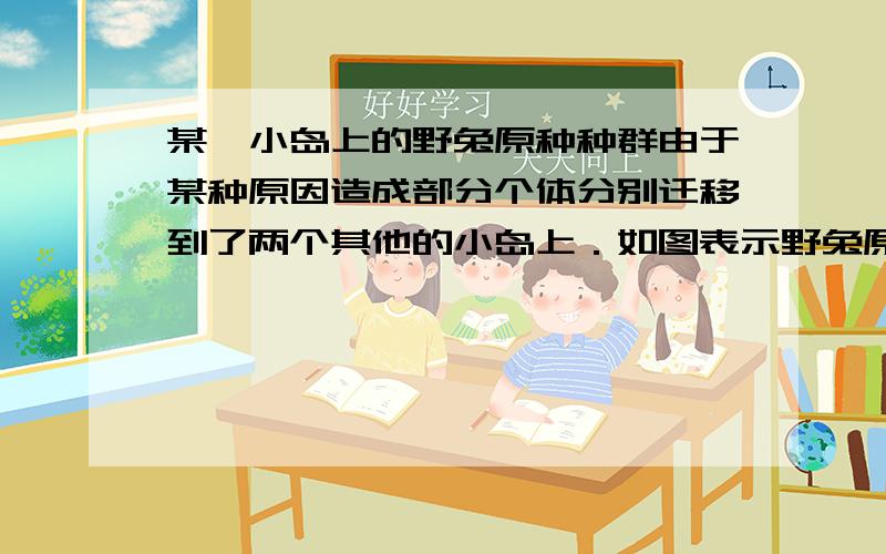 某一小岛上的野兔原种种群由于某种原因造成部分个体分别迁移到了两个其他的小岛上．如图表示野兔原种进化的过程，相关说法不正确