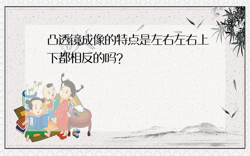 凸透镜成像的特点是左右左右上下都相反的吗?