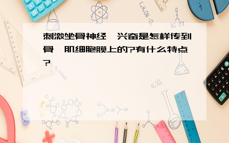 刺激坐骨神经,兴奋是怎样传到骨骼肌细胞膜上的?有什么特点?