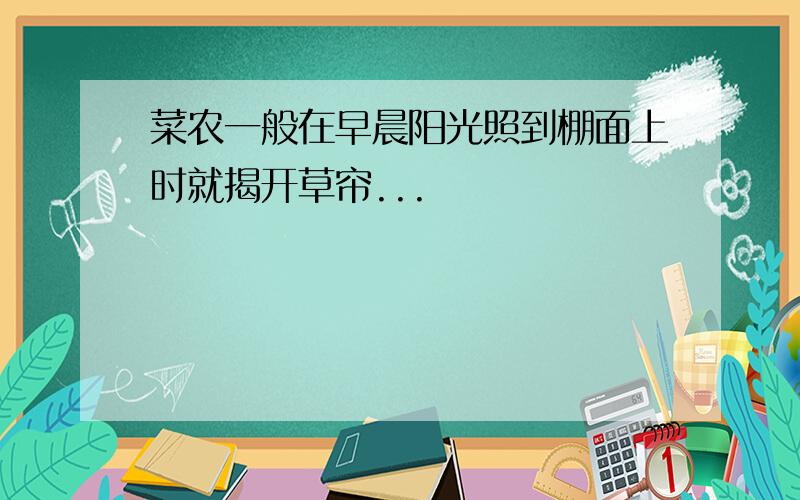 菜农一般在早晨阳光照到棚面上时就揭开草帘...