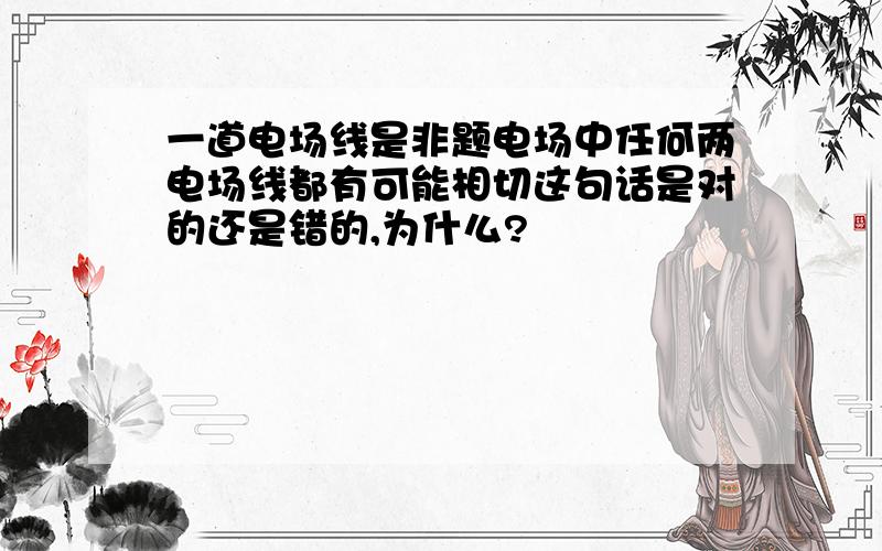 一道电场线是非题电场中任何两电场线都有可能相切这句话是对的还是错的,为什么?