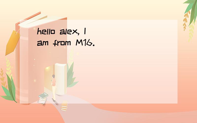 hello alex, I am from M16.