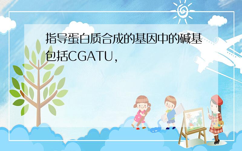 指导蛋白质合成的基因中的碱基包括CGATU,