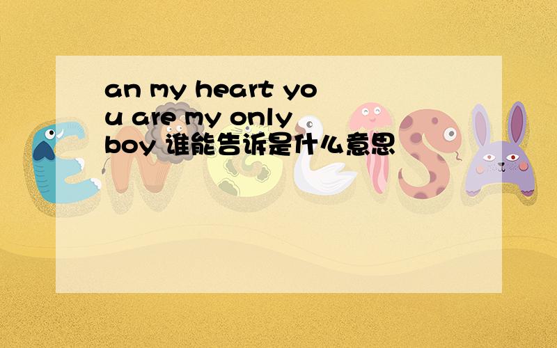 an my heart you are my only boy 谁能告诉是什么意思