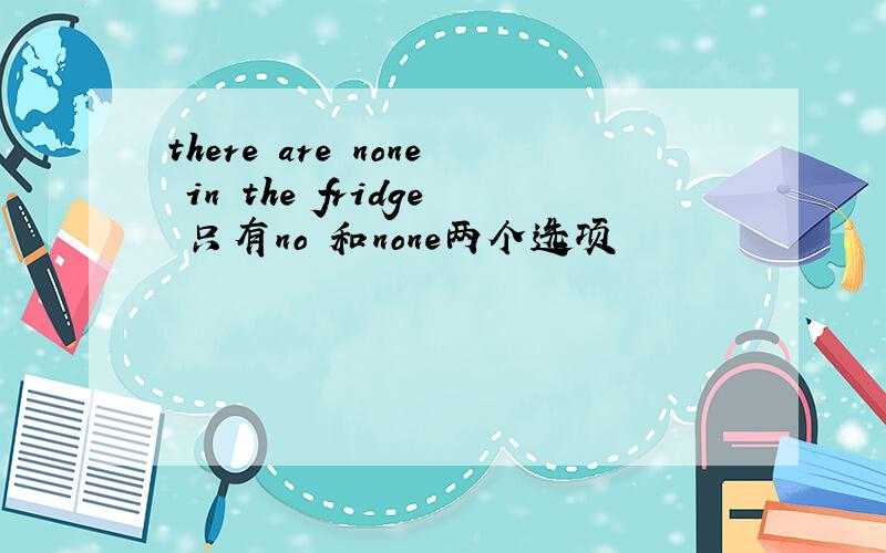 there are none in the fridge 只有no 和none两个选项