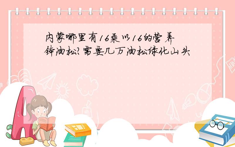 内蒙哪里有16乘以16的营养钵油松?需要几万油松绿化山头