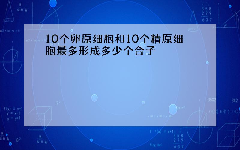 10个卵原细胞和10个精原细胞最多形成多少个合子