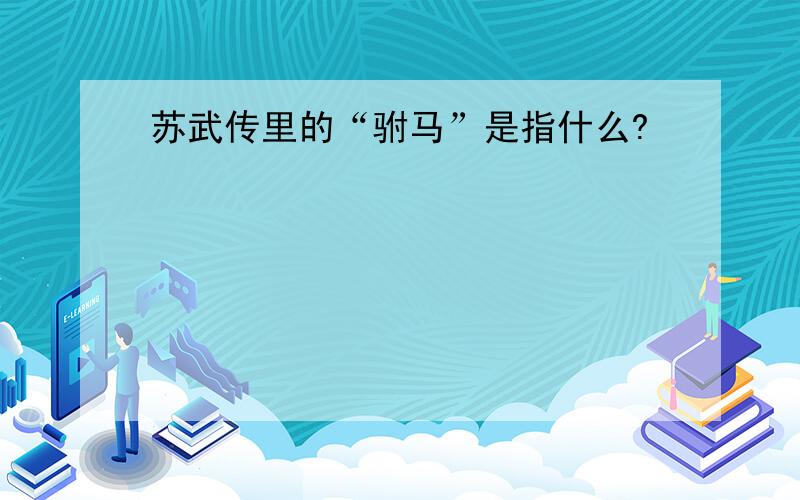 苏武传里的“驸马”是指什么?