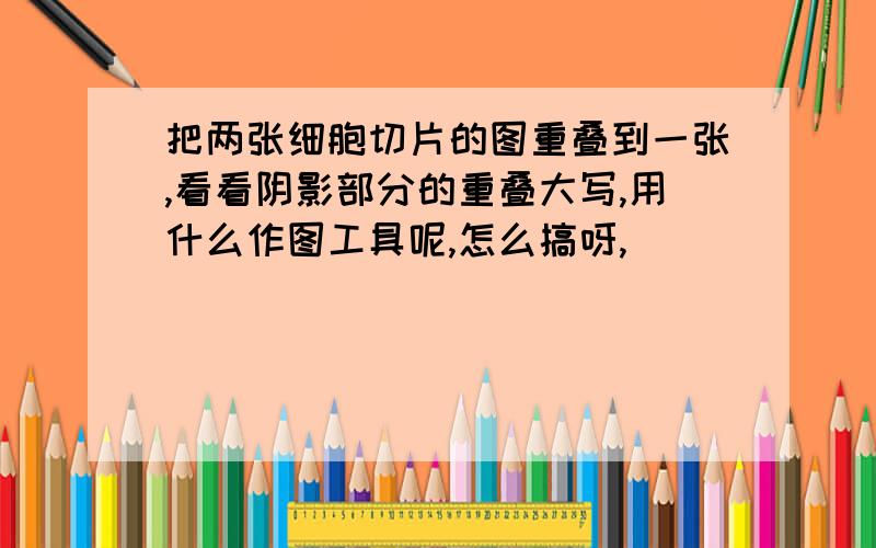 把两张细胞切片的图重叠到一张,看看阴影部分的重叠大写,用什么作图工具呢,怎么搞呀,