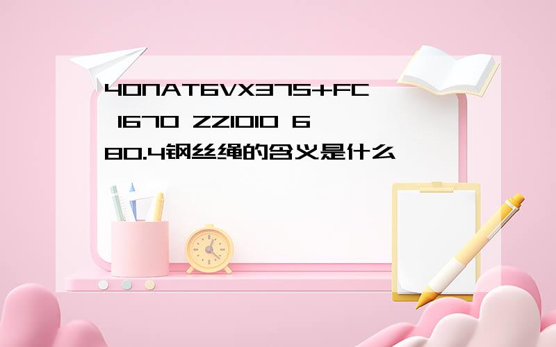 40NAT6VX37S+FC 1670 ZZ1010 680.4钢丝绳的含义是什么