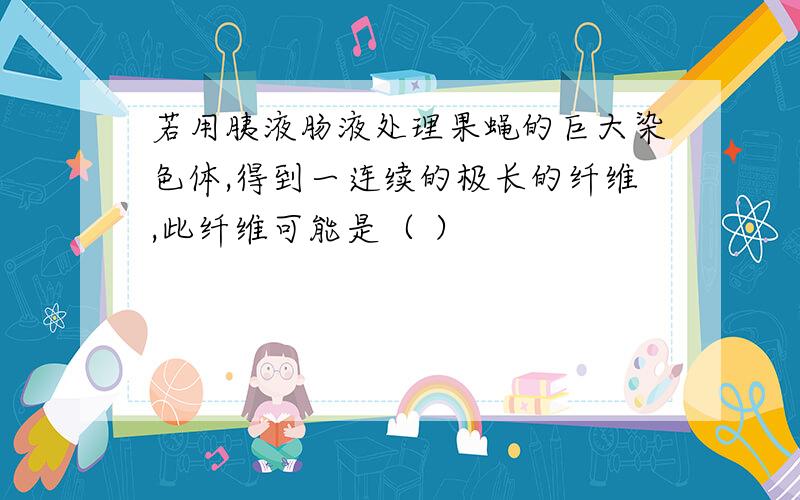 若用胰液肠液处理果蝇的巨大染色体,得到一连续的极长的纤维,此纤维可能是（ ）