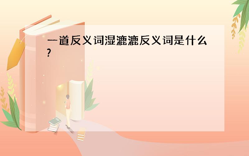 一道反义词湿漉漉反义词是什么?