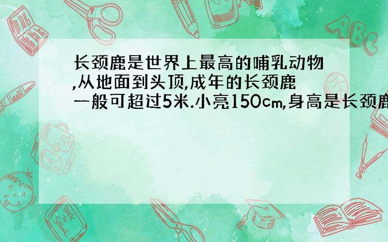 长颈鹿是世界上最高的哺乳动物,从地面到头顶,成年的长颈鹿一般可超过5米.小亮150cm,身高是长颈鹿的几分之几?