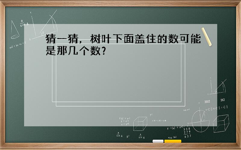 猜一猜，树叶下面盖住的数可能是那几个数？