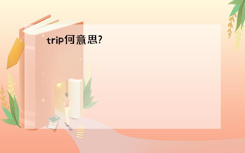 trip何意思?