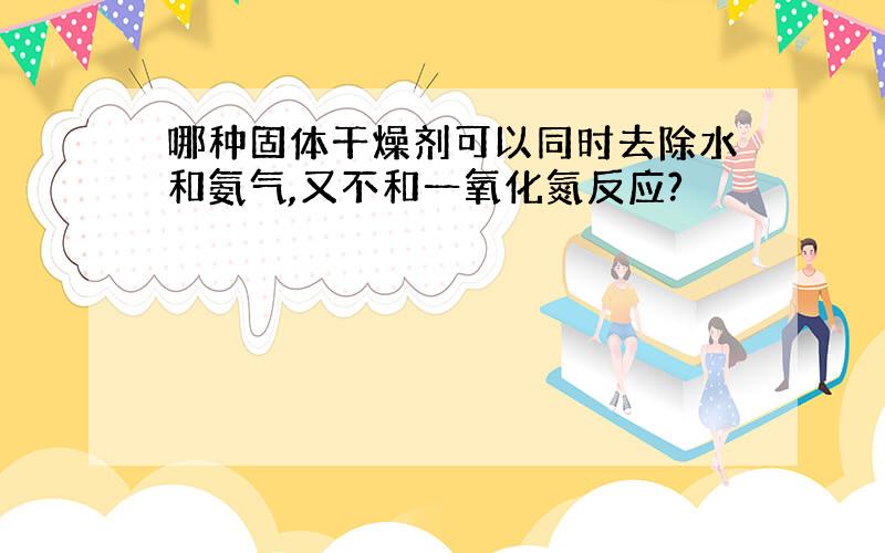 哪种固体干燥剂可以同时去除水和氨气,又不和一氧化氮反应?