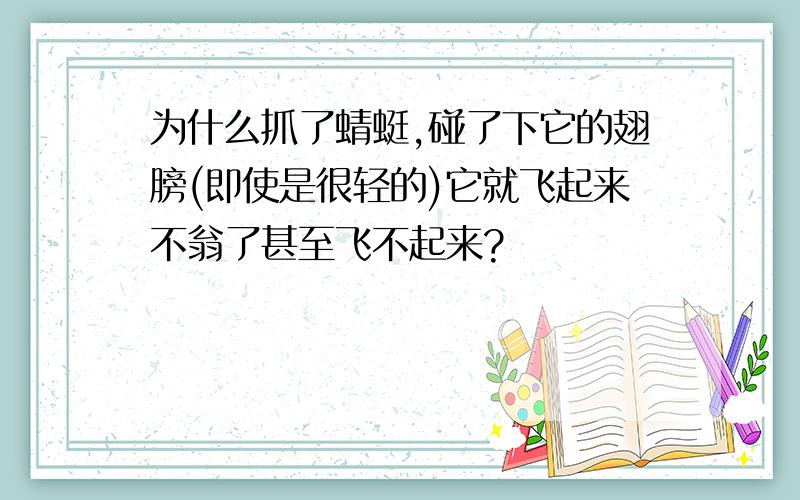 为什么抓了蜻蜓,碰了下它的翅膀(即使是很轻的)它就飞起来不翁了甚至飞不起来?