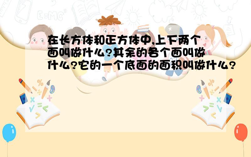 在长方体和正方体中,上下两个面叫做什么?其余的各个面叫做什么?它的一个底面的面积叫做什么?