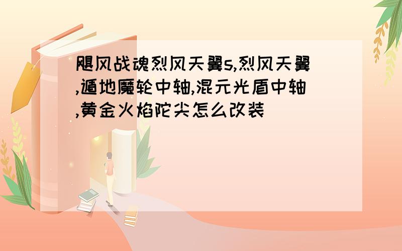 飓风战魂烈风天翼s,烈风天翼,遁地魔轮中轴,混元光盾中轴,黄金火焰陀尖怎么改装