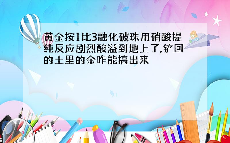 黄金按1比3融化破珠用硝酸提纯反应剧烈酸溢到地上了,铲回的土里的金咋能搞出来