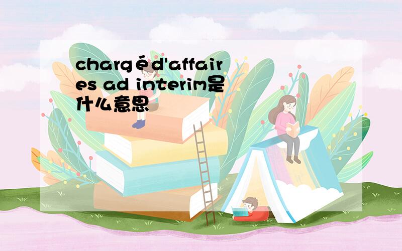 chargéd'affaires ad interim是什么意思