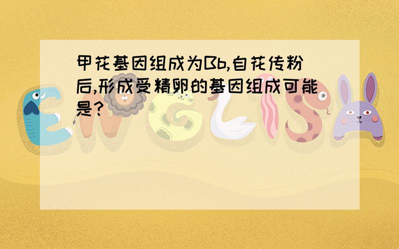 甲花基因组成为Bb,自花传粉后,形成受精卵的基因组成可能是?